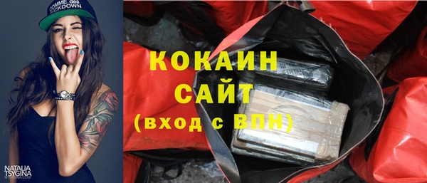 дмт Осинники