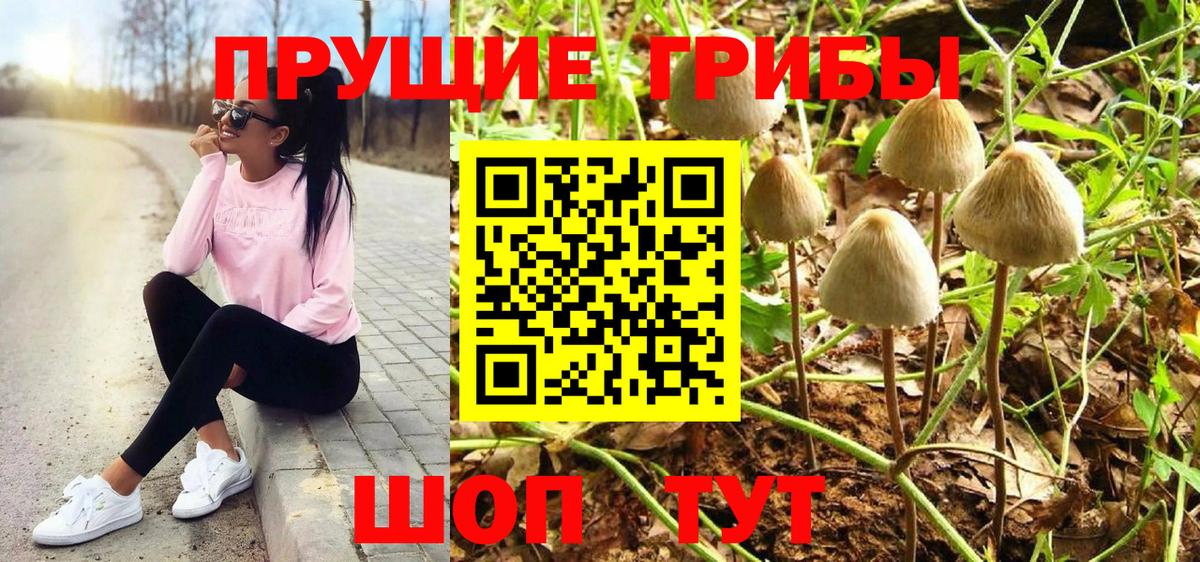 Екатеринбург  Галлюциногенные грибы мухоморы  купить закладку  Вход с VPN 